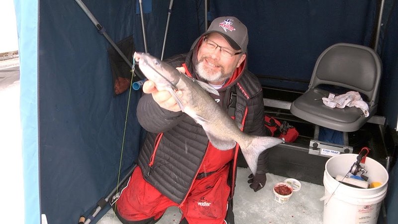 Get Hooked on Exciting Ice Fishing Casino Games in the UK in United Kigdom